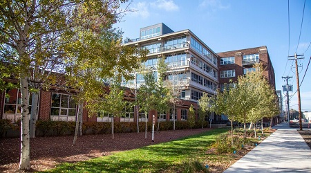 Bassett building with trees and leaves