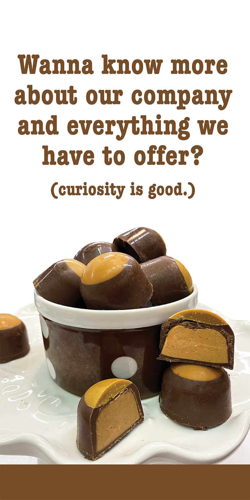 Learn more about Droolin' Moose